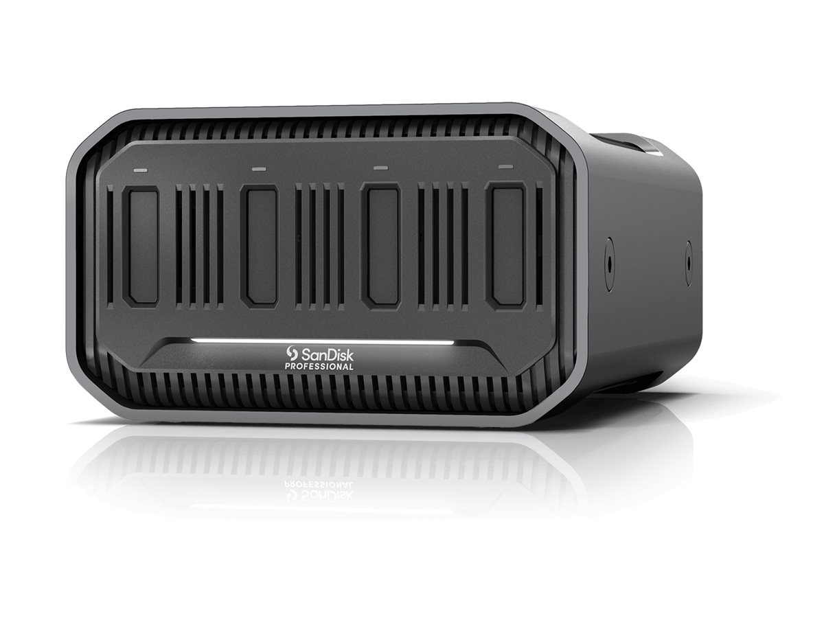 SANDISK PROFESSIONAL PRO-BLADE - Speichergehäuse