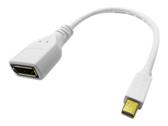 ROLINE DisplayPort-Adapter - Mini DisplayPort (M)