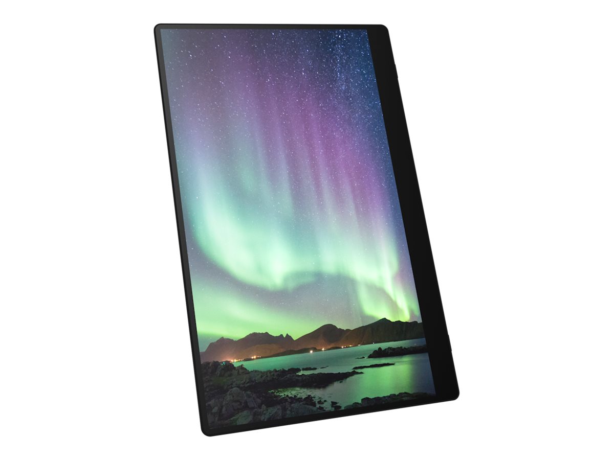 Fsas Technologies Ricoh 150BW - OLED-Monitor - 39.6 cm (15.6") (16" sichtbar)