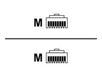 ROLINE Patch-Kabel - RJ-45 (M) bis RJ-45 (M)