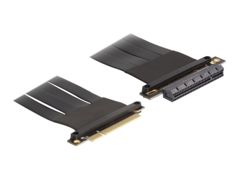 Delock Riser Card