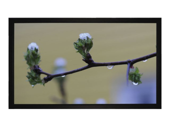 Medium Frame Budget type D - Leinwand - geeignet für Wandmontage - 207 cm (82)