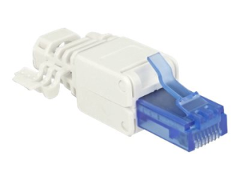 Delock Netzwerkanschluss - RJ-45 (M) - UTP - CAT 6a - (Anzahl pro Packung 2)