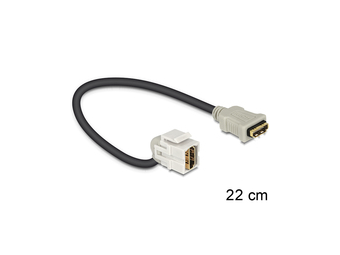 Delock Keystone Module HDMI female > HDMI female 110° with cable