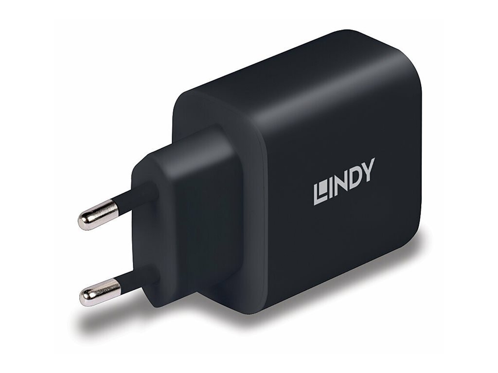 Lindy Netzteil - GaN - 65 Watt - 3 A - PD 3.0, PDPPS (24 pin USB-C)