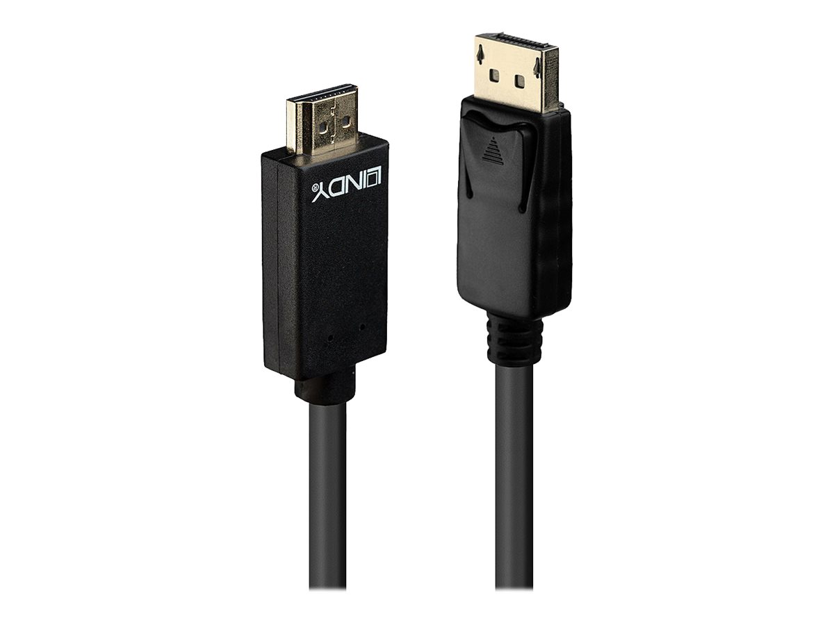 Lindy Adapterkabel - DisplayPort männlich zu