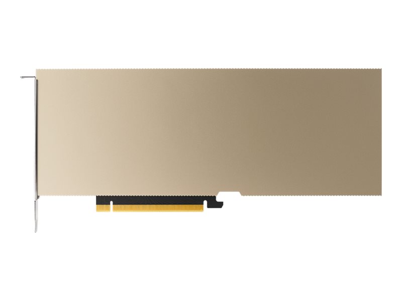 PNY NVIDIA A10 CEC - GPU-Rechenprozessor - A10