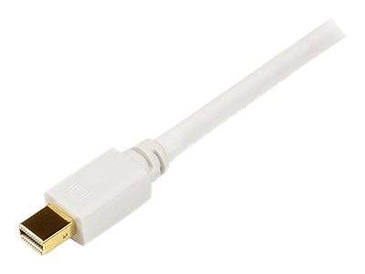 StarTech.com 18m Mini DisplayPort auf DVI Kabel (SteckerStecker)
