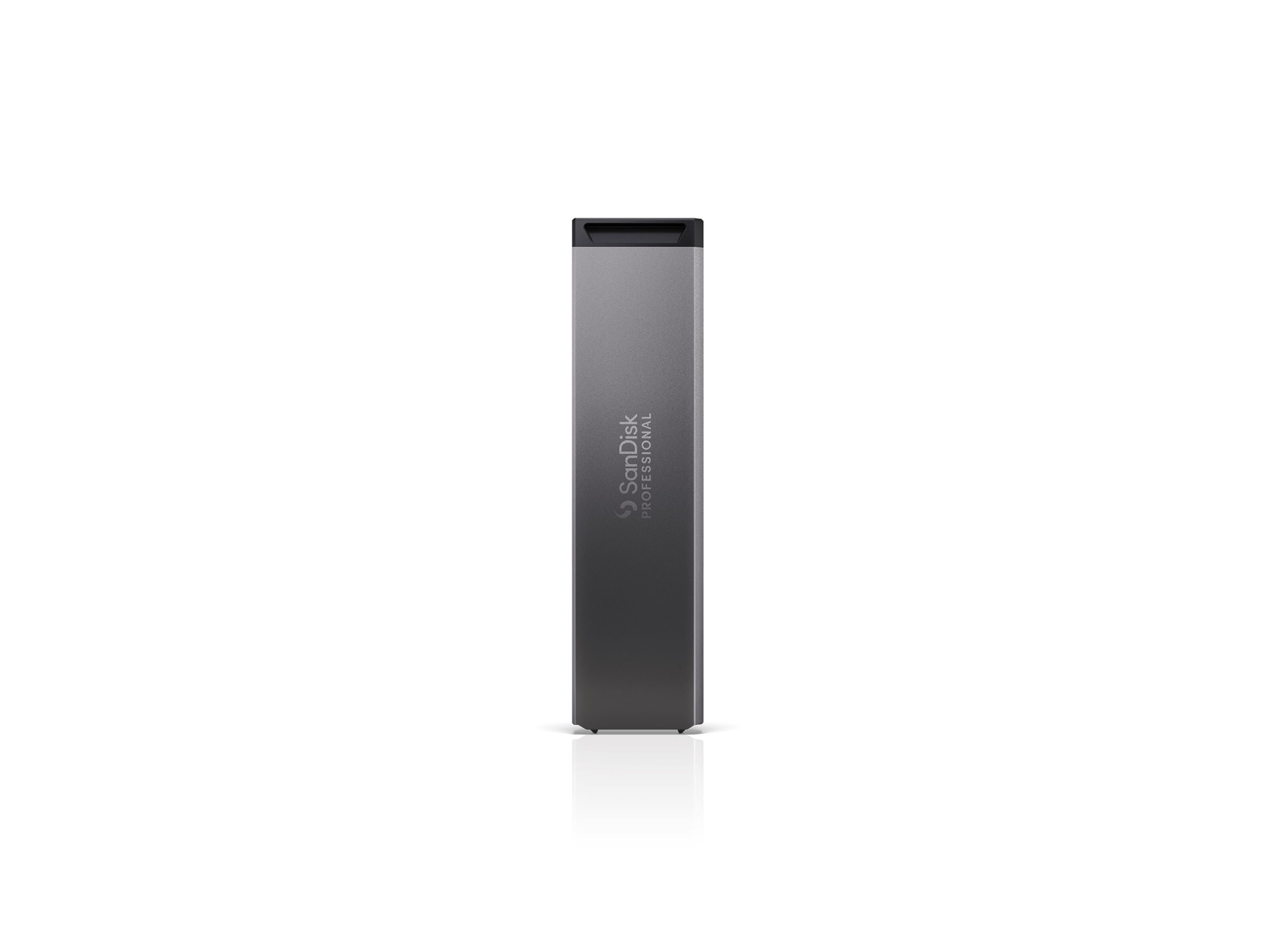 SanDisk Professional PRO-BLADE SSD Mag - SSD - 4 TB - extern (tragbar)