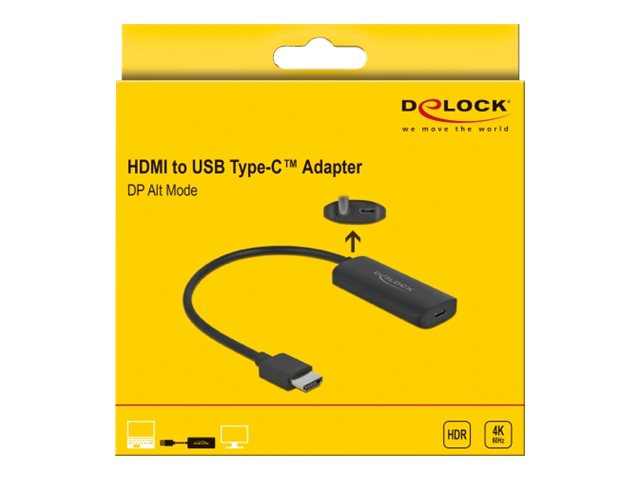 Delock Videoadapter - HDMI, Mikro-USB Typ B (nur Strom)