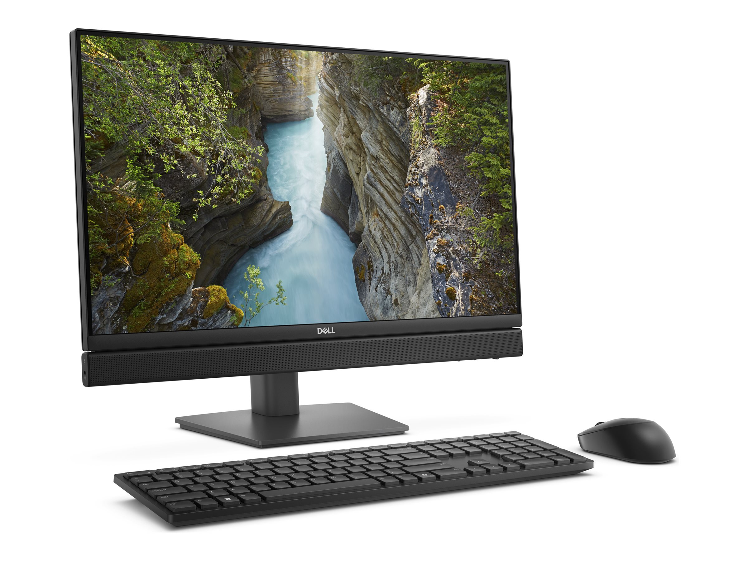 Dell Pro 24 All-in-One QC24251 - All-in-One (Komplettlösung)