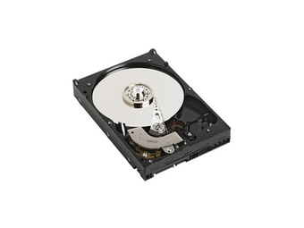 Dell  Festplatte - 1 TB - intern - 3.5 (8.9 cm)