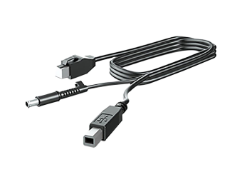 HP  DisplayPort-Kabel - DisplayPort (M) zu DisplayPort (M)