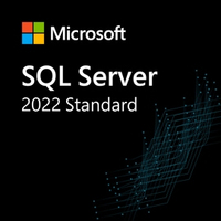 Microsoft SQL Server 2022 - Lizenz - 1 Benutzer-CAL