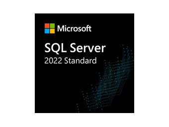 Microsoft SQL Server 2022 - Lizenz - 1 Benutzer-CAL