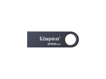 Kingston DataTraveler SE9 G3 - USB-Stick - 256 GB