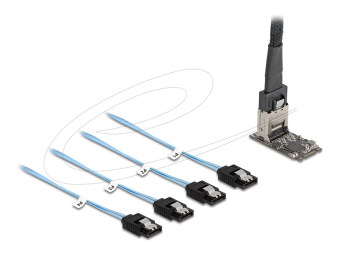 Delock Schnittstellenadapter - SATA 6Gbs