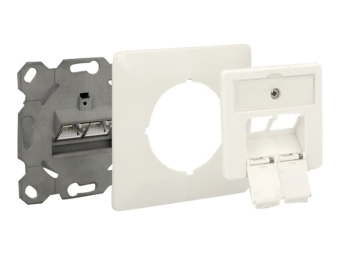 Delock Modular Wall Outlet flush mount 2 Port Cat.6A LSA