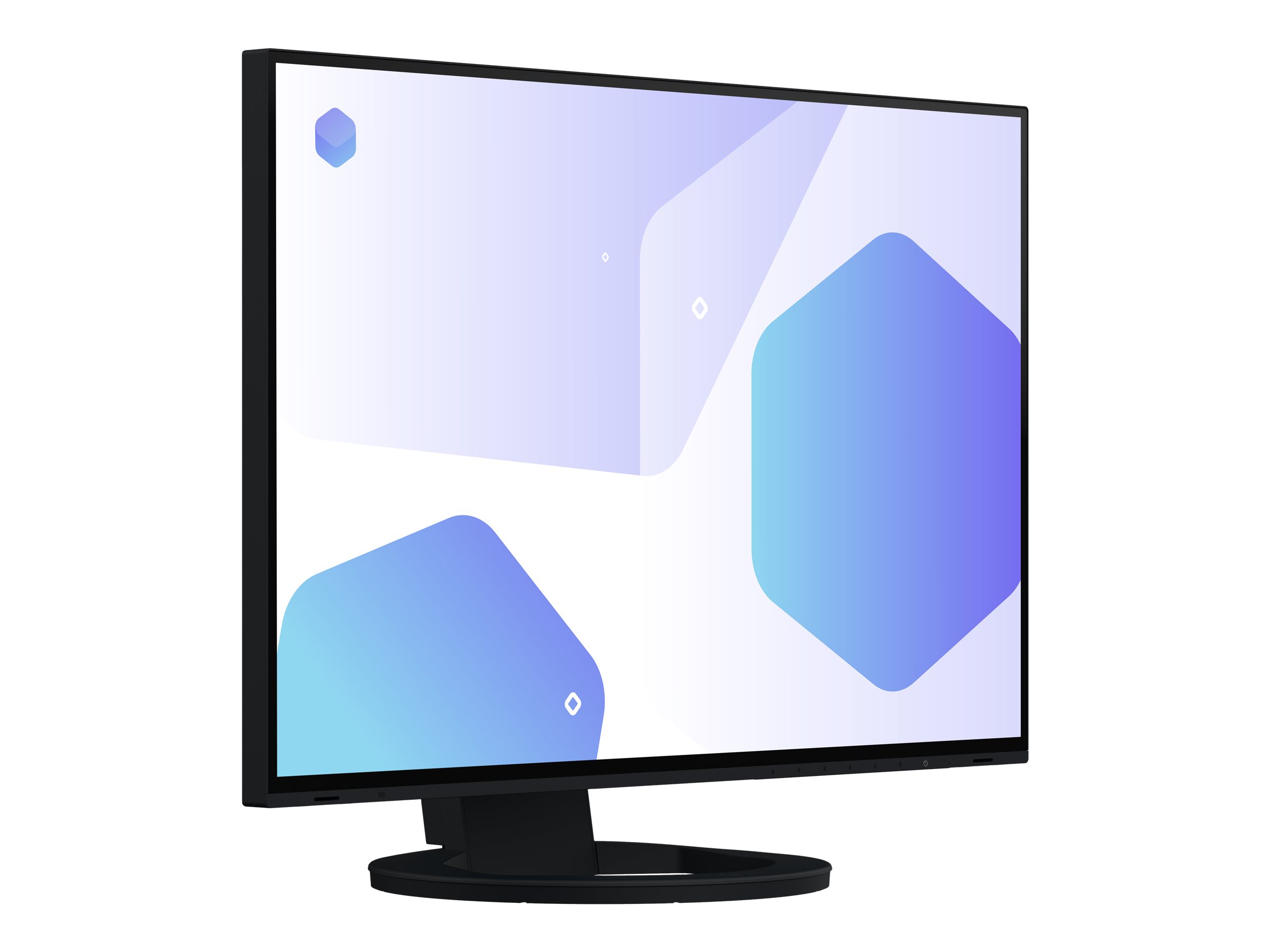 EIZO FlexScan EV2485-BK - LED-Monitor - 61.1 cm (24.1")