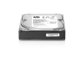 HPE Dual Port - Festplatte - 300 GB - 2.5 SFF (6.4 cm SFF)