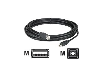 APC NetBotz USB Latching Cable - USB-Kabel - USB Typ B (M)