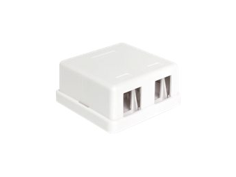 Delock Keystone Surface Mounted Box - Gehäuse