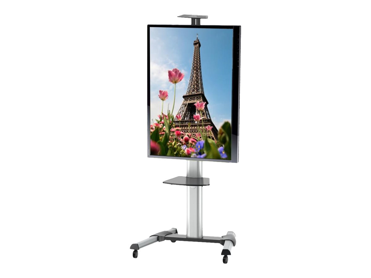 Techly Wagen - für Flachbildschirm - Silber - Bildschirmgröße 94-177.8 cm (37"-70")