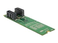 Delock Speichercontroller (RAID) - 2 SenderKanal