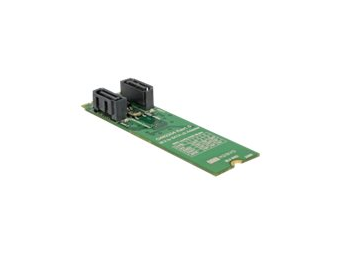 Delock Speichercontroller (RAID) - 2 SenderKanal