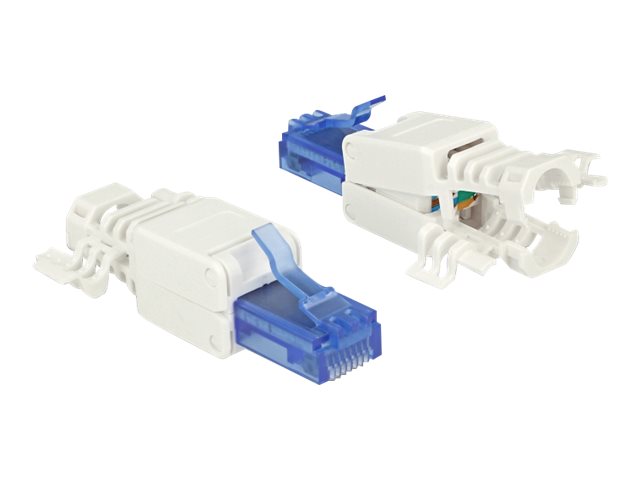 Delock Netzwerkanschluss - RJ-45 (M) - UTP - CAT 6a - (Anzahl pro Packung 2)