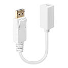 Lindy DisplayPort-Adapter - DisplayPort (M)