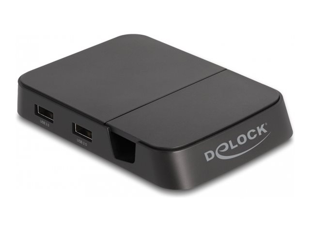 Delock Dockingstation - USB-C  Thunderbolt