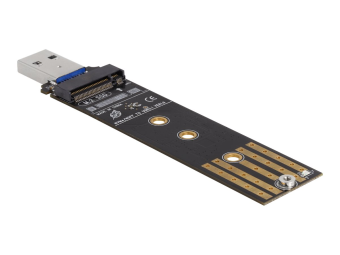 Delock Schnittstellenadapter - M.2 - M.2 Card (PCIe NVMe & SATA)
