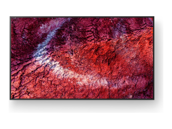 Sony Bravia Professional Displays FW-65BZ40P - 165 cm (65")