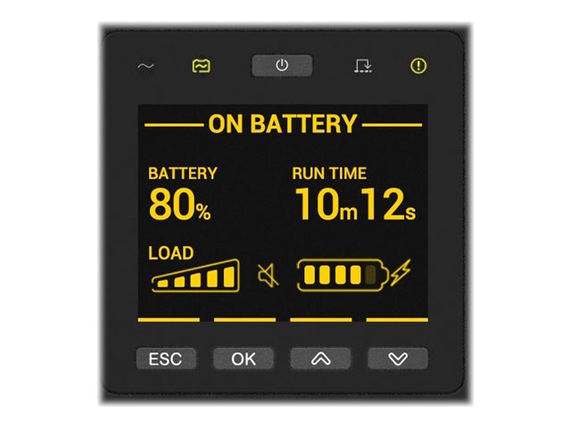 APC Smart-UPS RT - USV (in Rack montierbarextern)