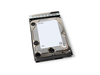 Dell  Kunden-Kit - Festplatte - 12 TB - 512e - 3.5" (8.9 cm)
