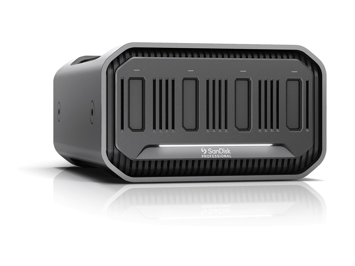 SANDISK PROFESSIONAL PRO-BLADE - Speichergehäuse