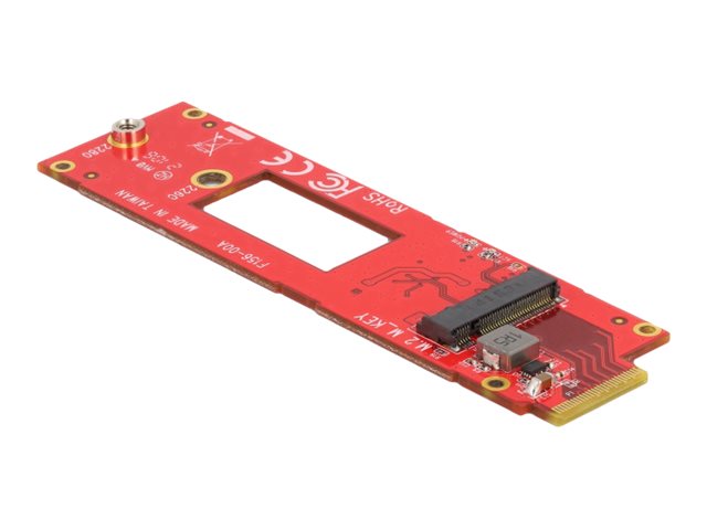 Delock Speicher-Controller - M.2 - 1 SenderKanal