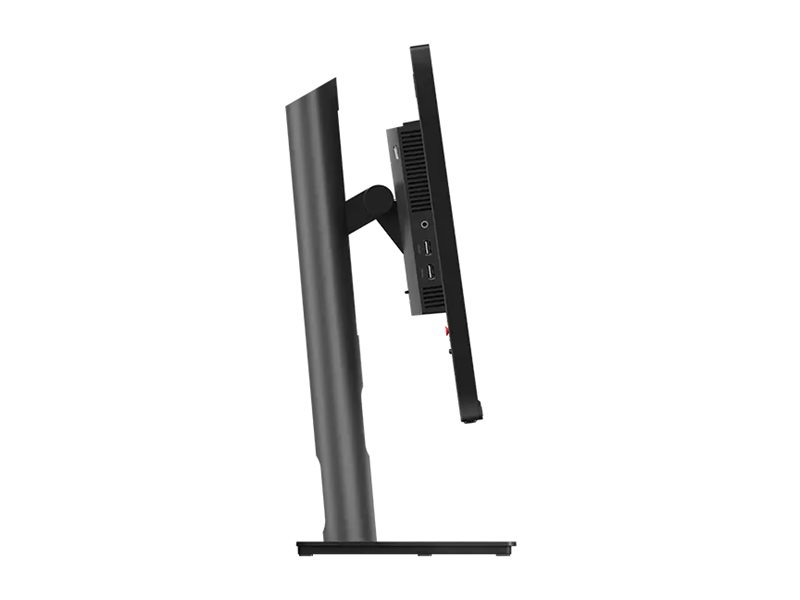 Lenovo ThinkVision P25i-30 - LED-Monitor - 63.5 cm (25")