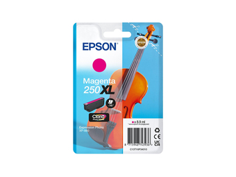 Epson Singlepack Magenta 250XL ink - Original - Tintenpatrone