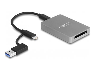 Delock Kartenleser (XQD, XQD 2.0, CFexpress 2.0 Type B)