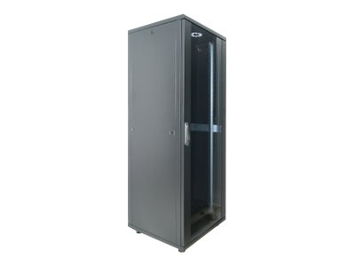 Intellinet Network Cabinet Free Standing (Basic)
