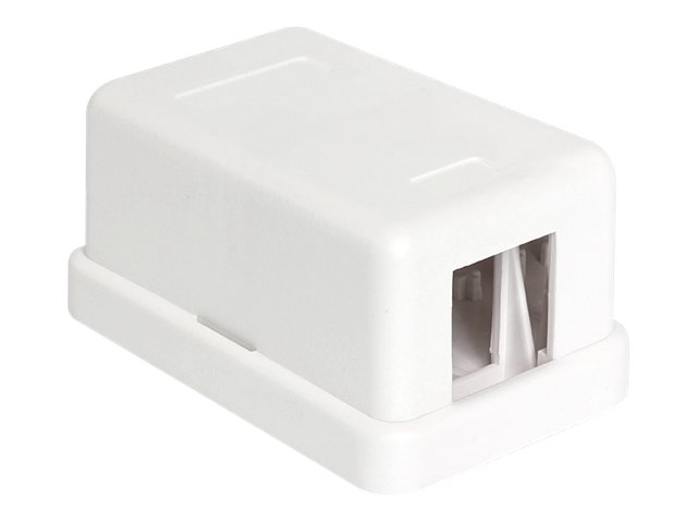 Delock Keystone Surface Mounted Box - Gehäuse mit modularen Einsätzen