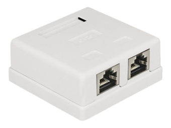 Delock Modular Wall - Wanddose - CAT 6 - STP