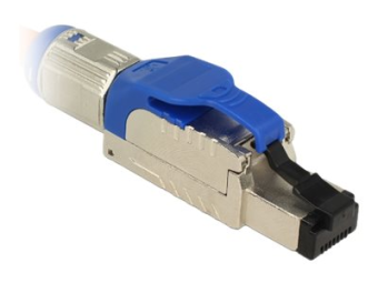 Delock Netzwerkanschluss - RJ-45 (M) - 6.6 cm