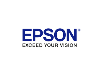 Epson Erase Red Color Embedded Option - Lizenz