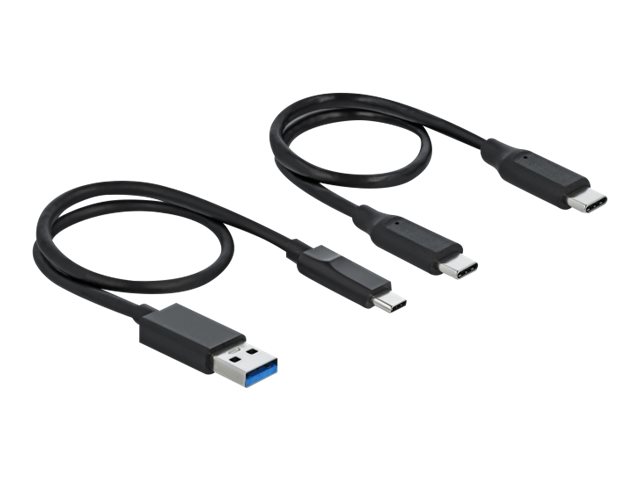 Delock Kartenleser (MMC, SD, miniSD, RS-MMC, MMCmobile, CFast Card Typ I, CFast Card Typ II, SDHC, miniSDHC, SDXC, SDHC UHS-I, SDXC UHS-I, SDHC UHS-II, SDXC UHS-II, MMC II)