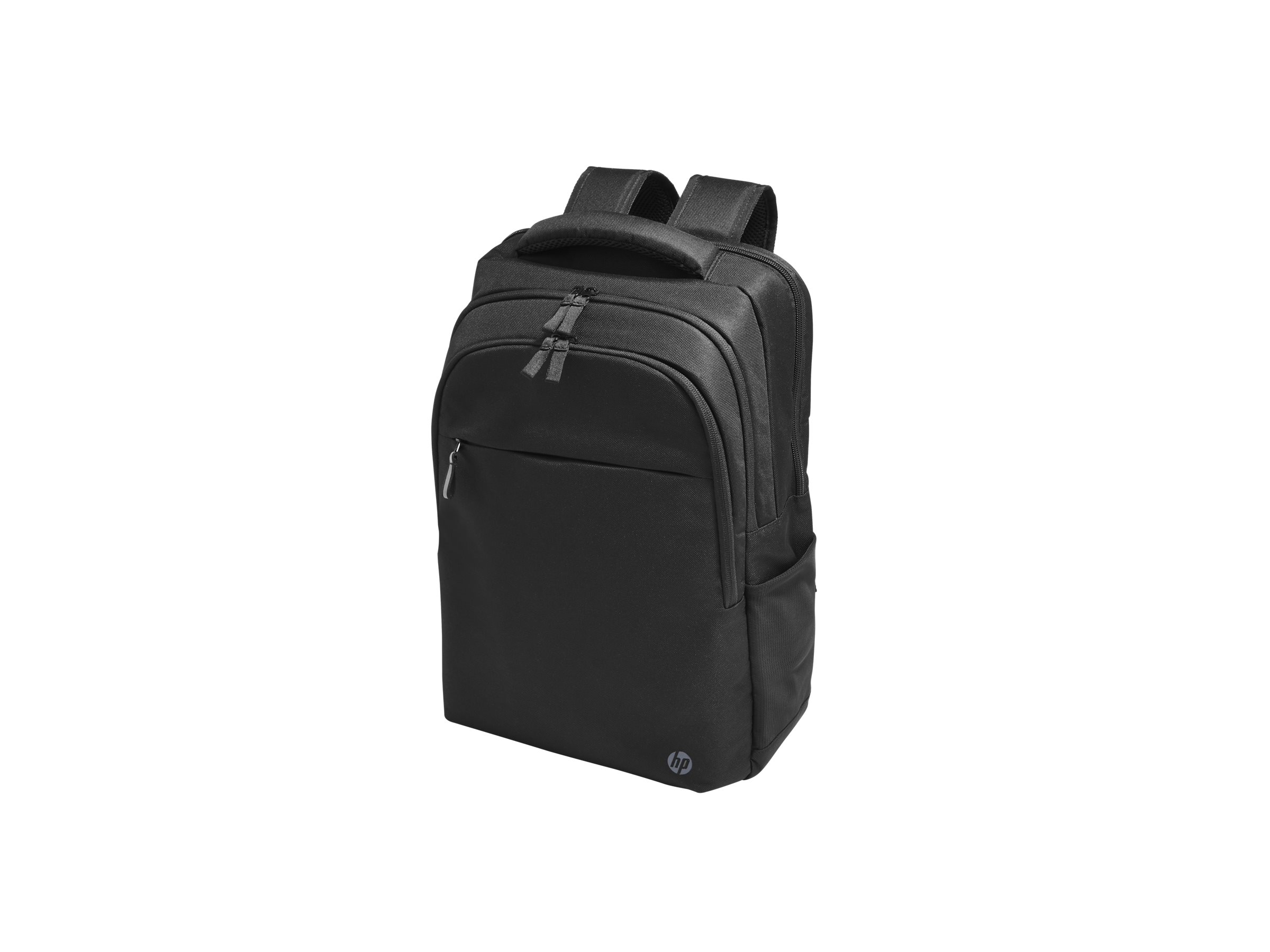 HP Professional - Notebook-Rucksack - 43.9 cm (17.3")