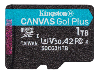 Kingston Canvas Go! Plus - Flash-Speicherkarte