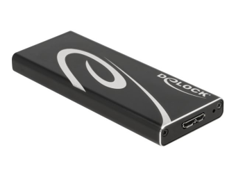 Delock Speichergehäuse - M.2 - 1 SenderKanal - M.2 Card - USB 3.2 (Gen 2)